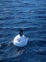 Nos prestations sur le secteur de Strasbourg dans le Bas-Rhin